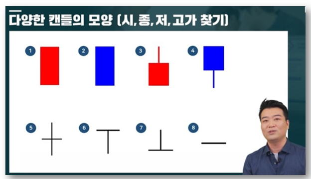 주식시세표몰라도 바이오제약주 13