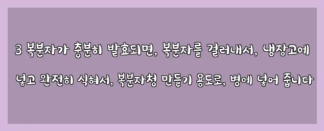  3 복분자가 충분히 발효되면, 복분자를 걸러내서, 냉장고에 넣고 완전히 식혀서, 복분자청 만들기 용도로, 병에 넣어 줍니다