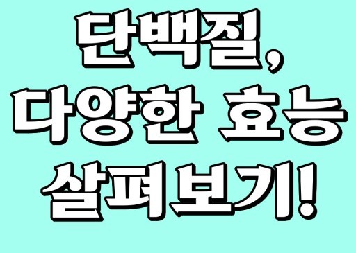 단백질 효능, 담백질 효능