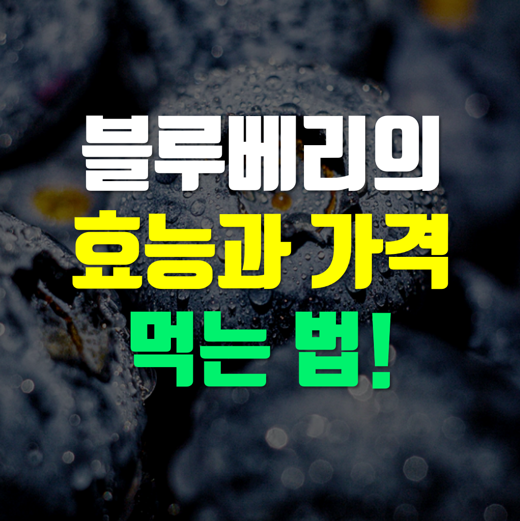  블루베리 효능, 가격, 먹는법