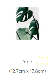 인화 이미지