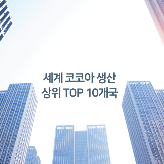 세계 코코아 생산 상위 TOP10개국