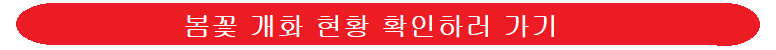 2025-벚꽃-개화-시기