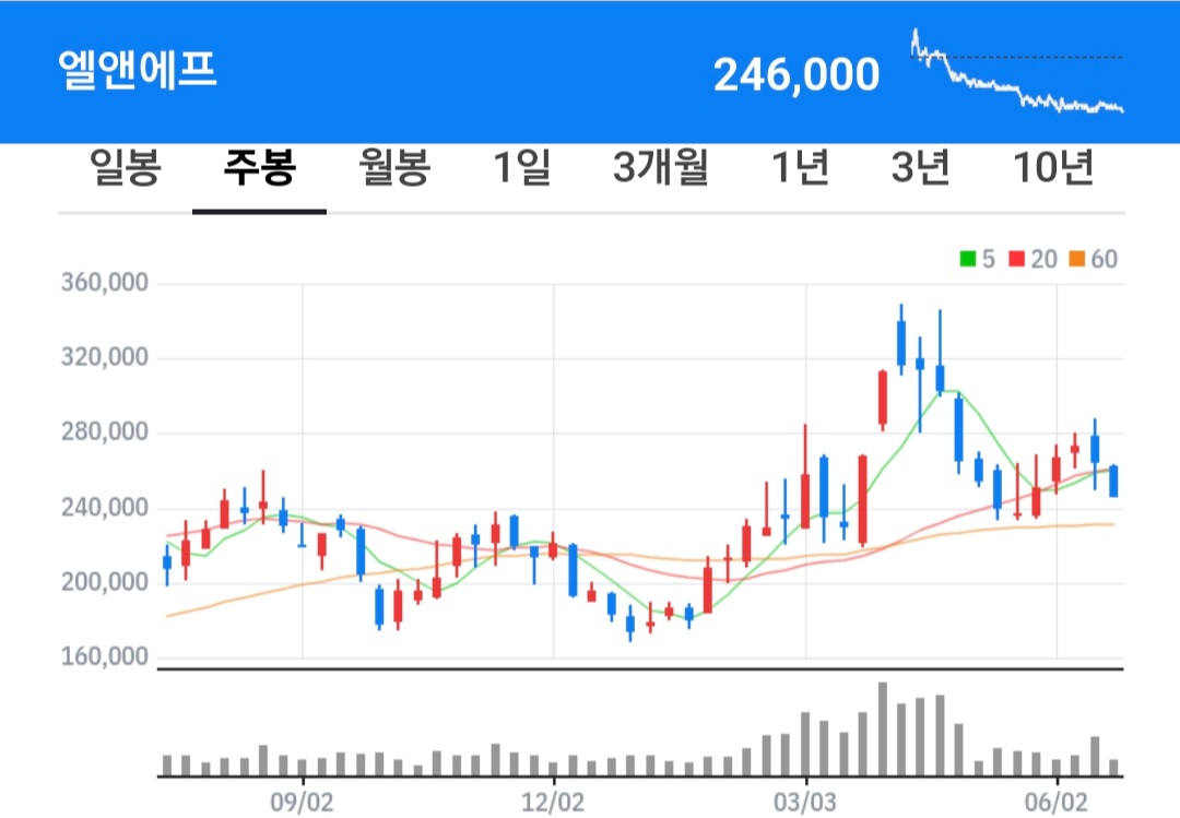 엘앤에프 주식 차트