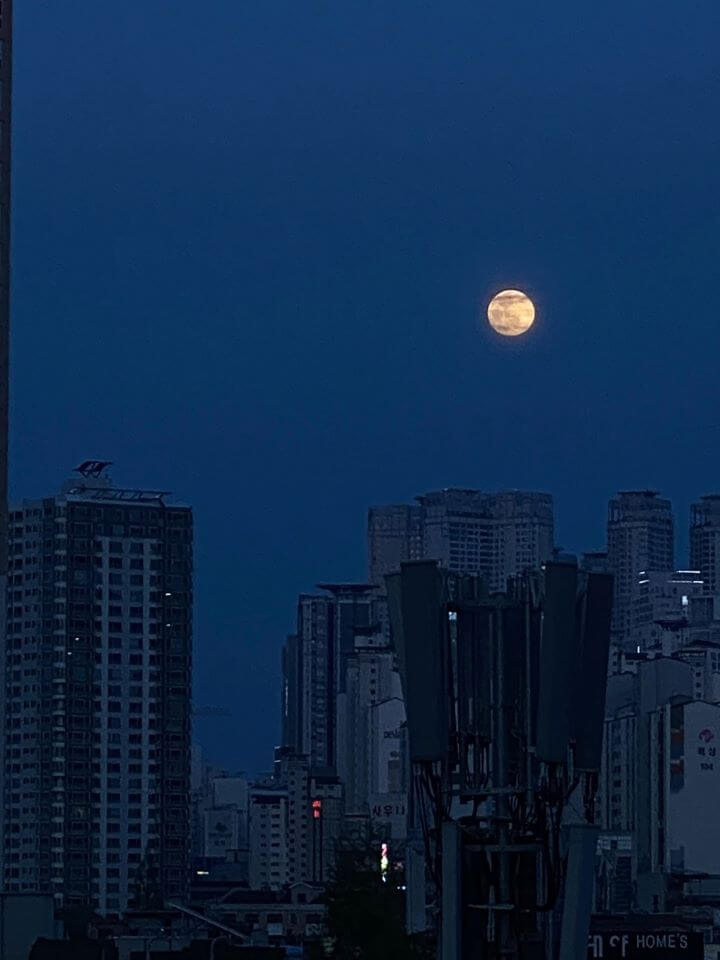  대구 동성로 카페 가볼만한 곳 하늘카페
