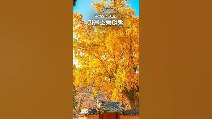 시골 감성 가득한 국내 촌캉스 여행지 베스트 추천 코스_1