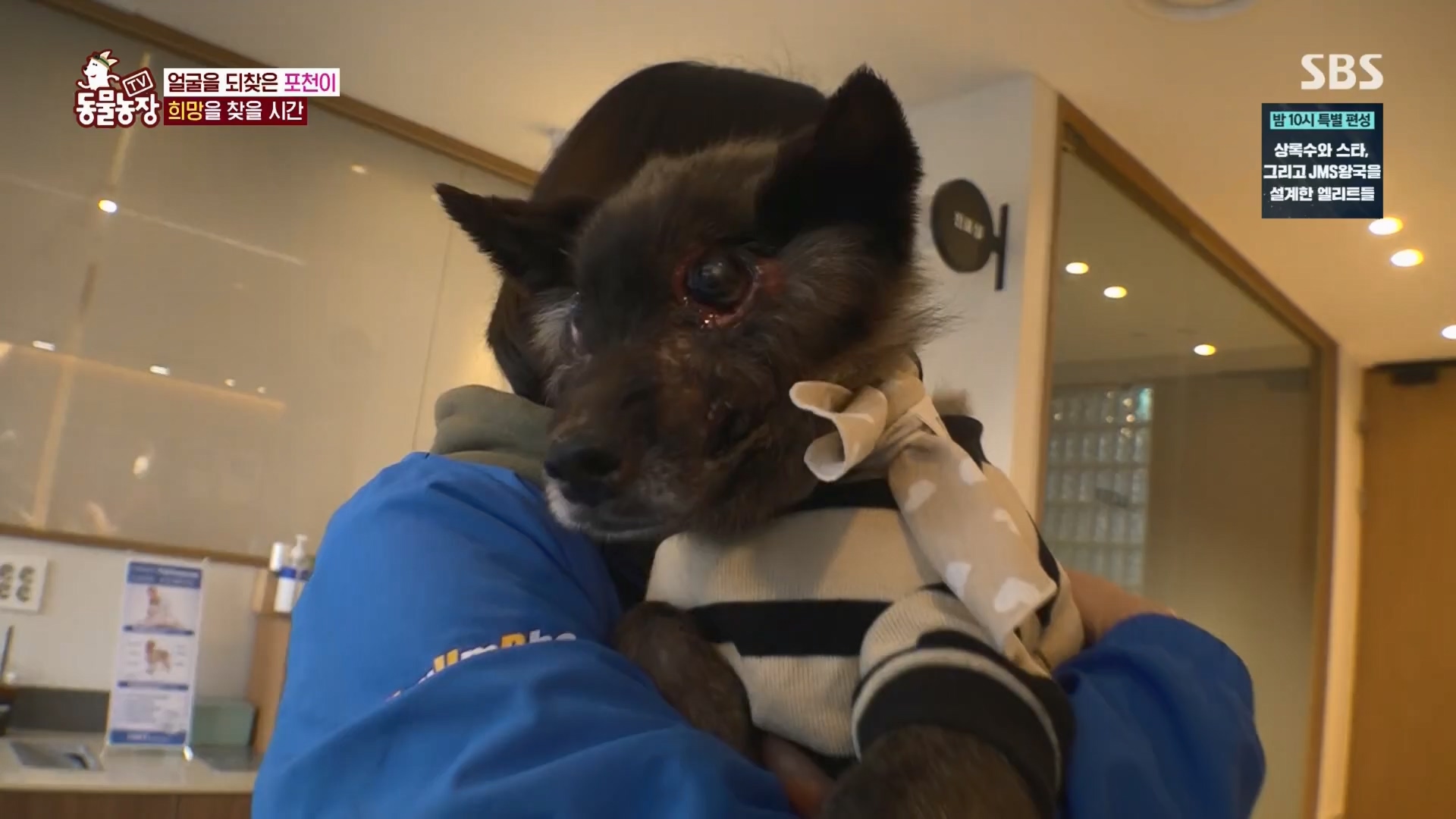 TV 동물농장.E1116.230416p.H264-F1RST.mp4_20230418_194217.128.jpg