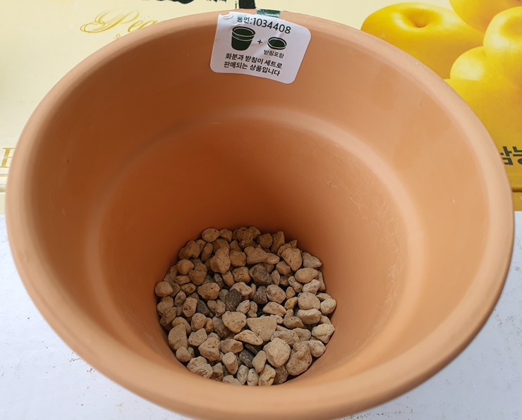 다이소 타라코타 토분