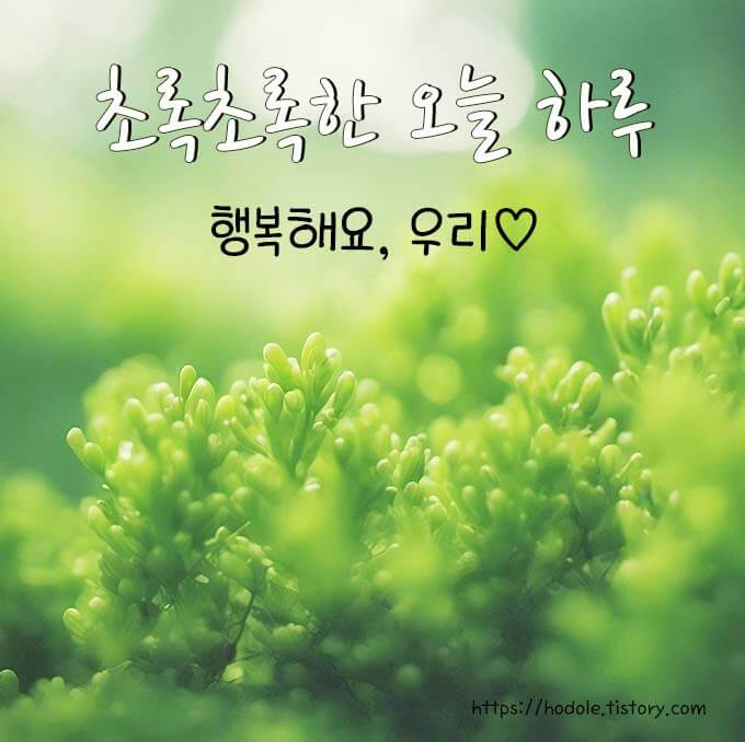 삼월 인사말