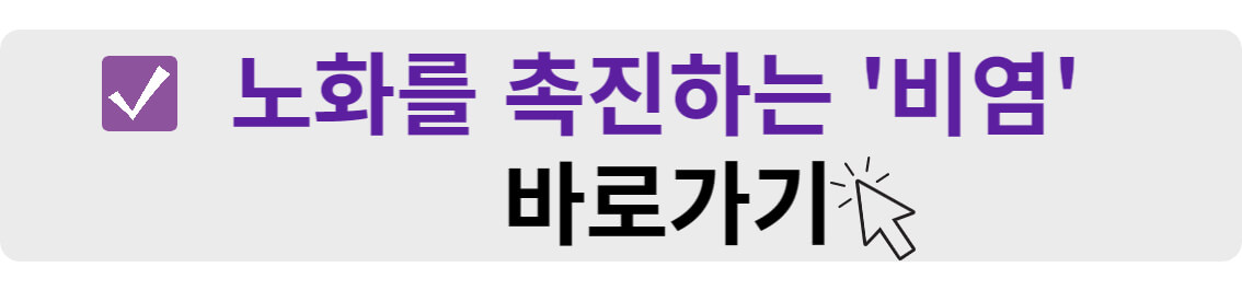 노화를 촉진하는 비염 바로가기