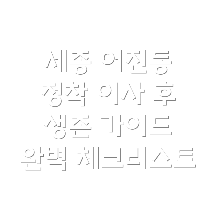 세종시 어진동 이사