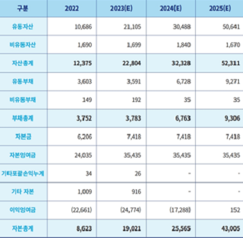 스마트레이더시스템 재무표