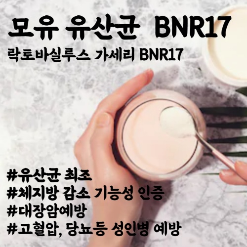  대장암 고혈압 당뇨 성인병예방 다이어트 모유 유산균 BNR17 락토바실루스 유산균 추천 효능 부작용 섭취 시 주의사항