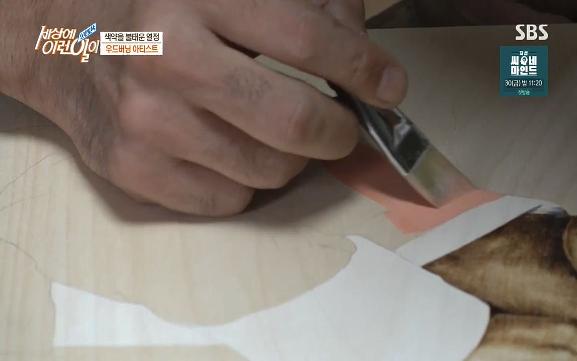 순간포착 세상에 이런일이.E1199.220928p.H264-F1RST.mp4_20220928_204147.874.jpg