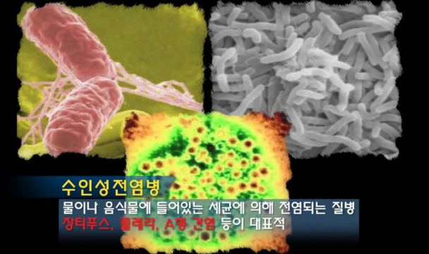 수인성 전염병 증상&예방법&총정리