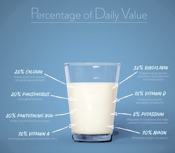 우유 및 유제품 Milk & Dairy Products