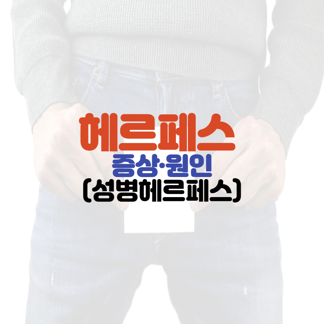  헤르페스 원인과 증상 (성병헤르페스)
