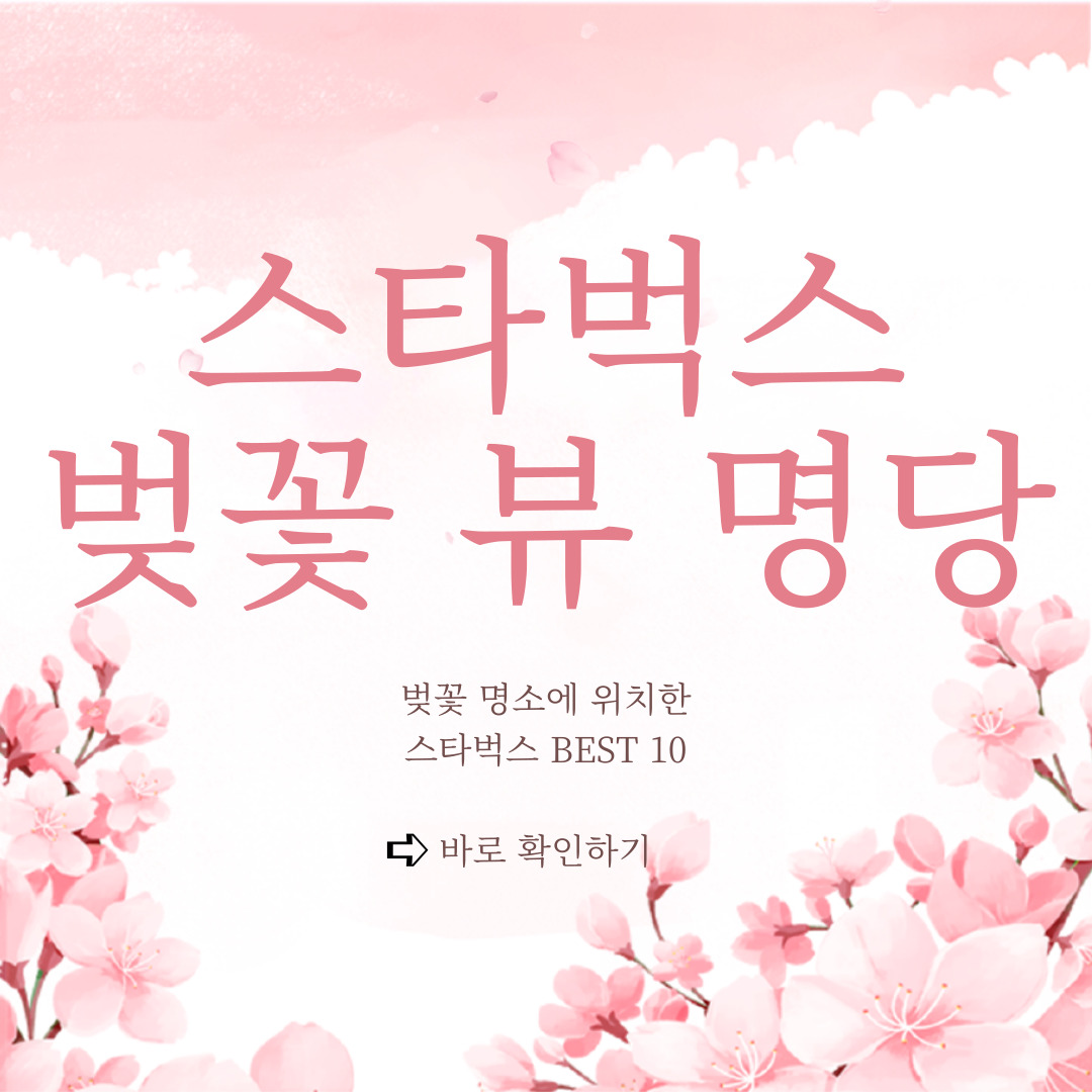 스타벅스 벚꽃 뷰 명당