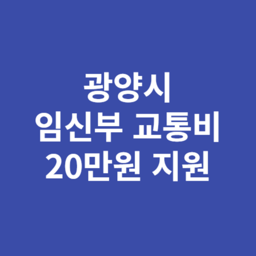 광양시 임신부 교통비 20만원 지원
