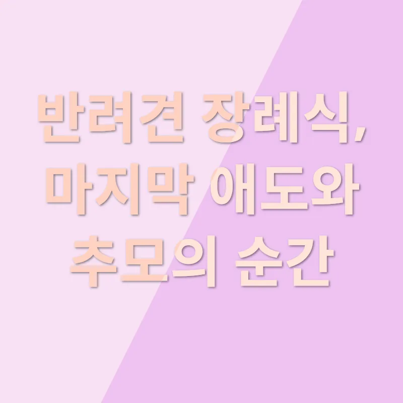 반려견 장례식_1