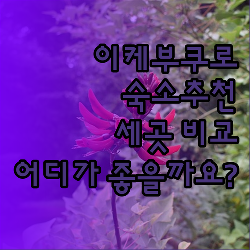 도쿄 이케부쿠로 여행 숙소 추천 세 