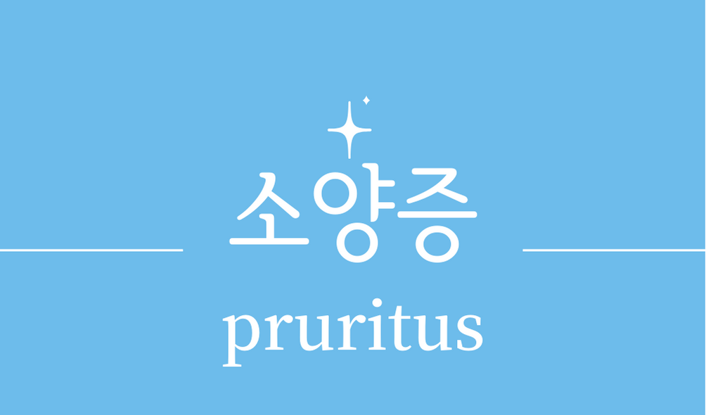 '소양증(pruritus)'