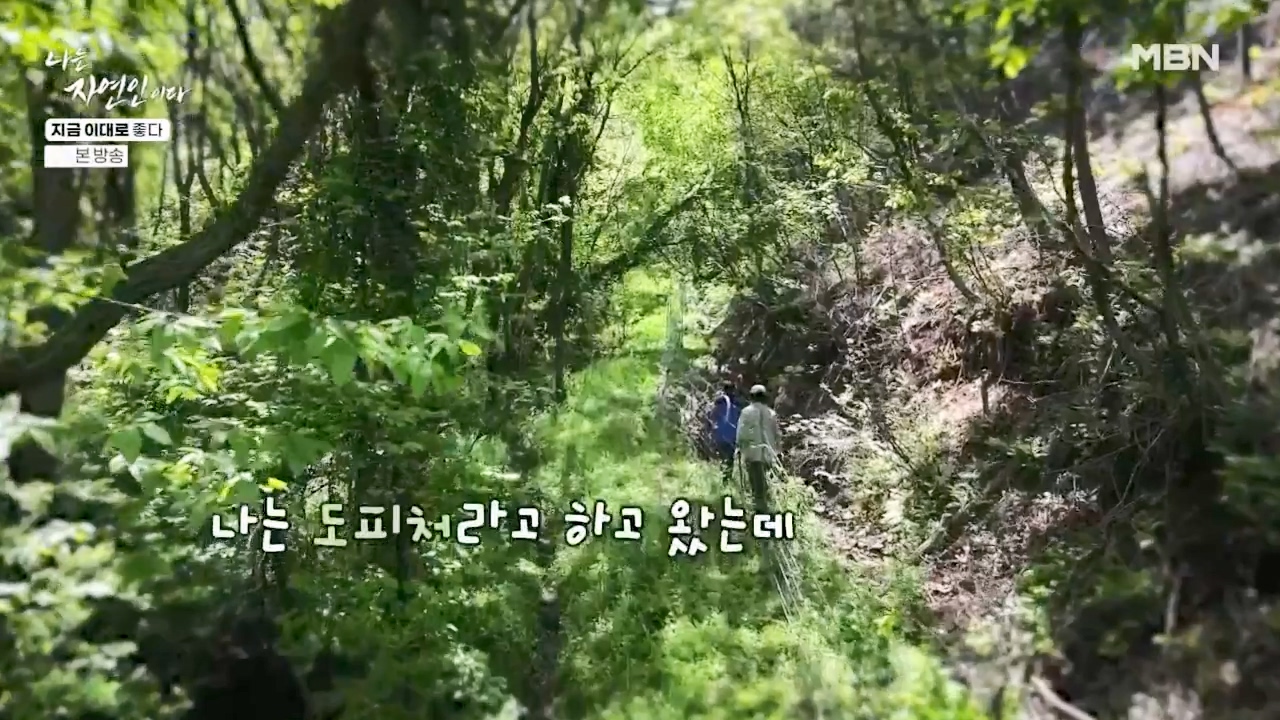 나는 자연인이다.E605.240516p-NEXT.mp4_20240516_194922.172.jpg
