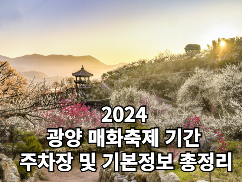 2024 광양 매화축제 기간&#44; 주차장 및 기본정보 총정리
