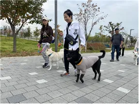 중구 반려견 산책 교실