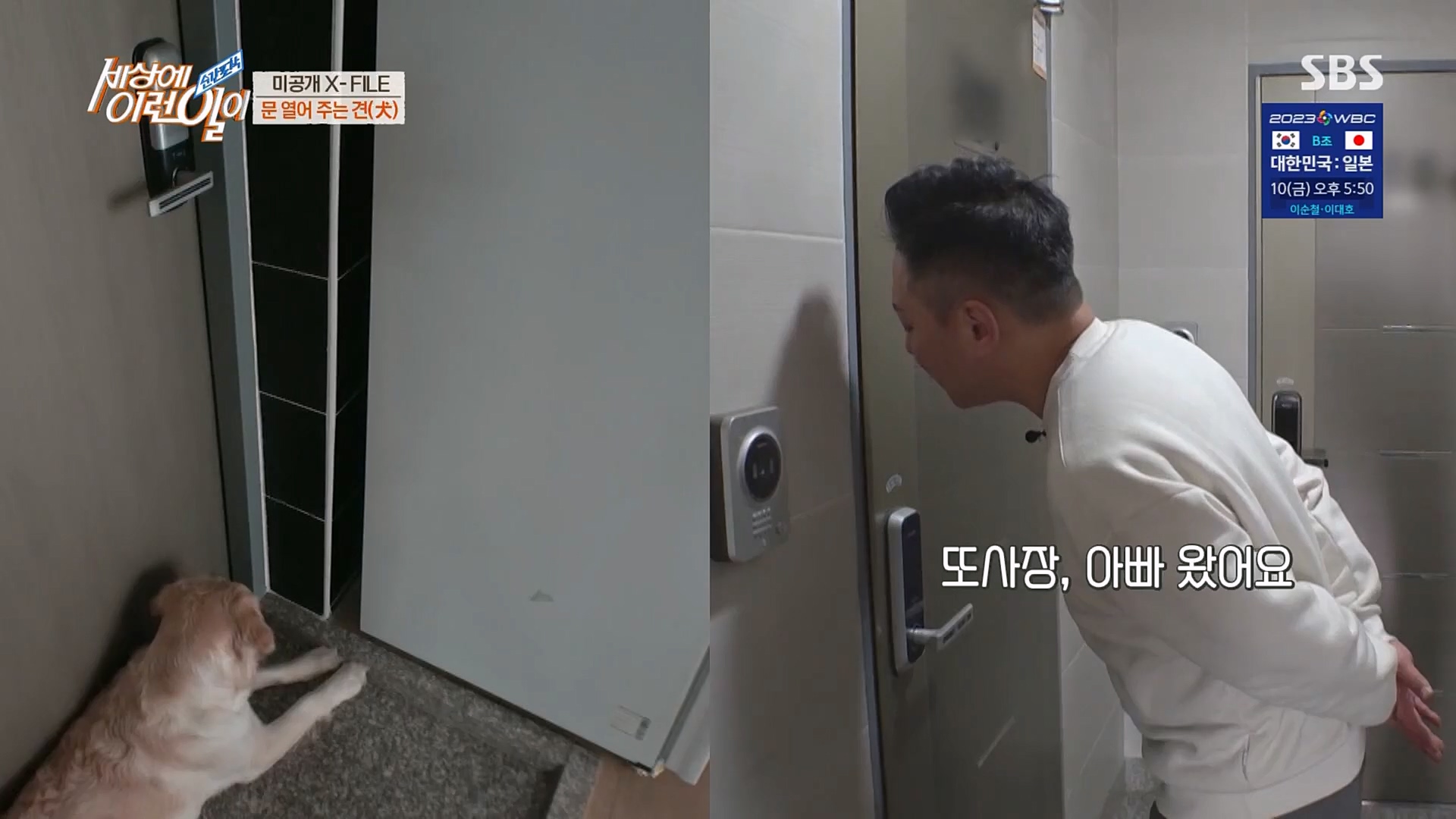 순간포착 세상에 이런일이.E1220.230307p.H264-F1RST.mp4_20230308_193453.808.jpg