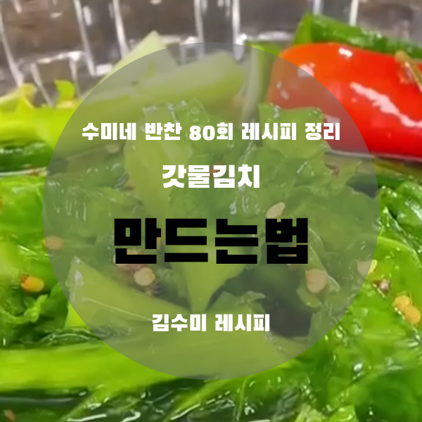 김수미 갓 물김치 담그기 28