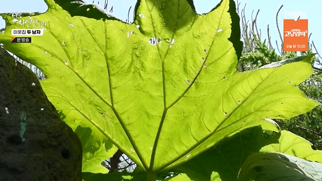 나는 자연인이다.E558.230615p-NEXT.mp4_20230615_200810.455.jpg