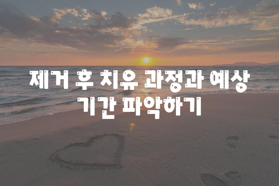 제거 후 치유 과정과 예상 날짜 알아보기