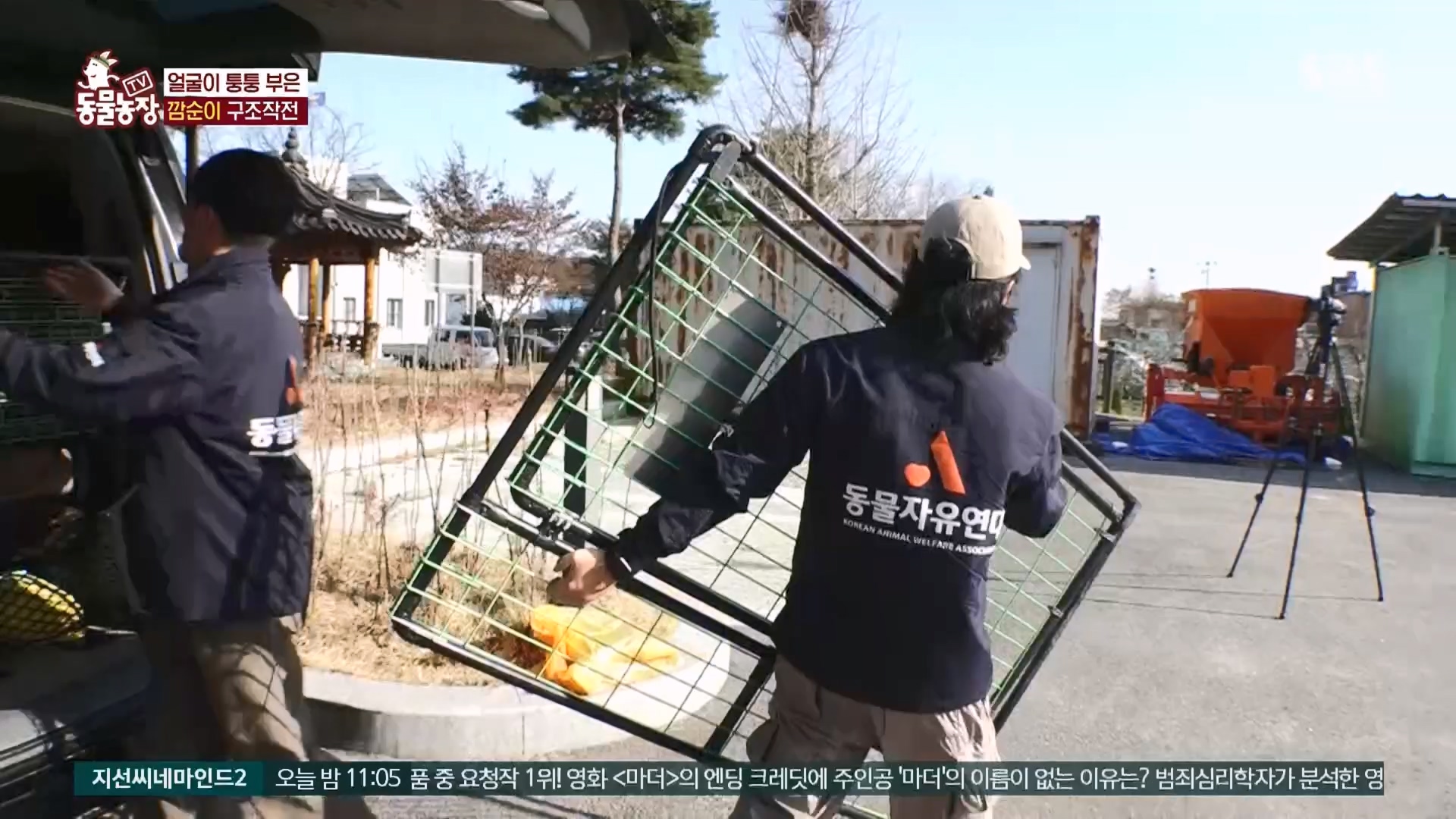 TV 동물농장.E1118.230423p.H264-F1RST.mp4_20230423_181132.749.jpg