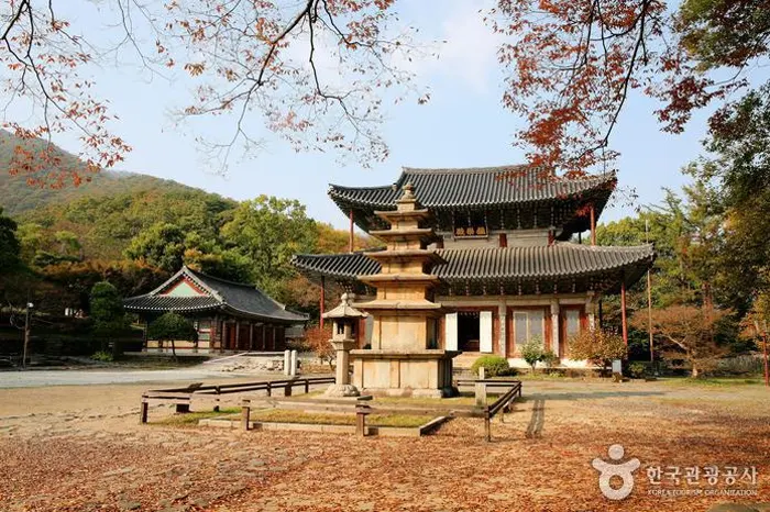 무량사 전경 이미지