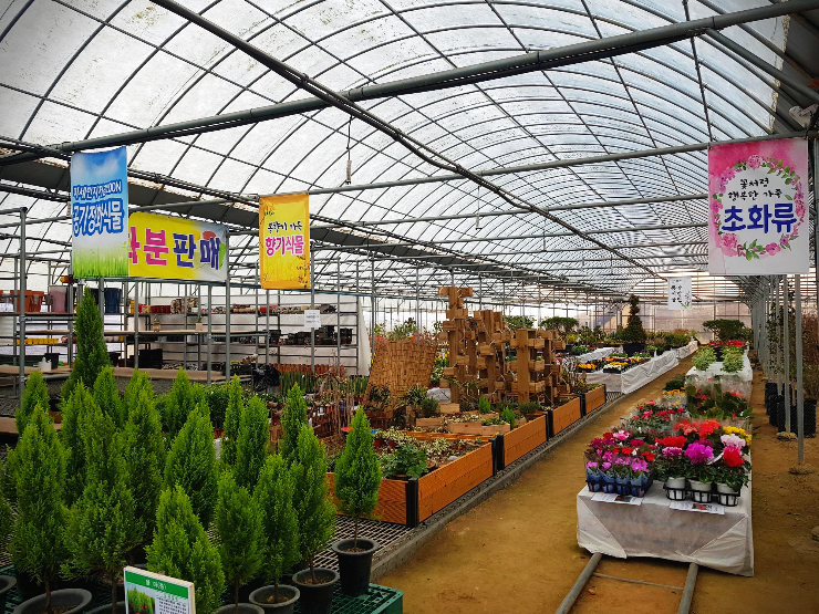 광주에 봄나무 시장이 열립니다.