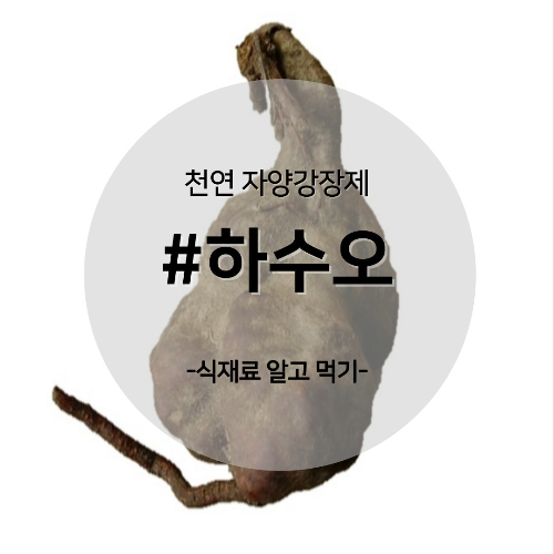  알고 먹기 24. #하수오
