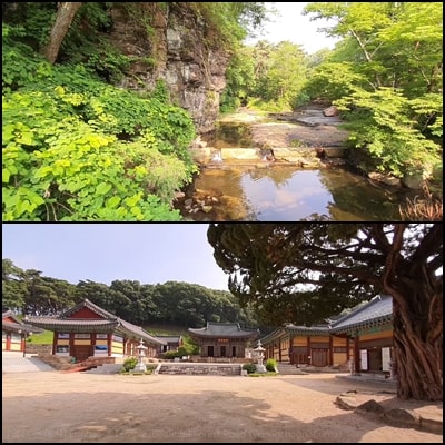  영천 은해사(銀海寺), 가는 숲길이 너무 아름답다 / 힐링타임