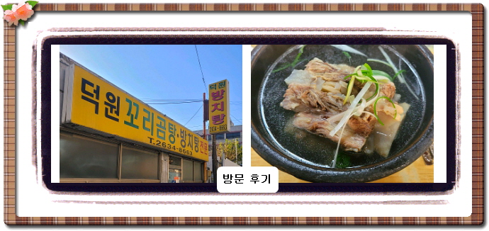 전현무계획2 꼬리곰탕 21회