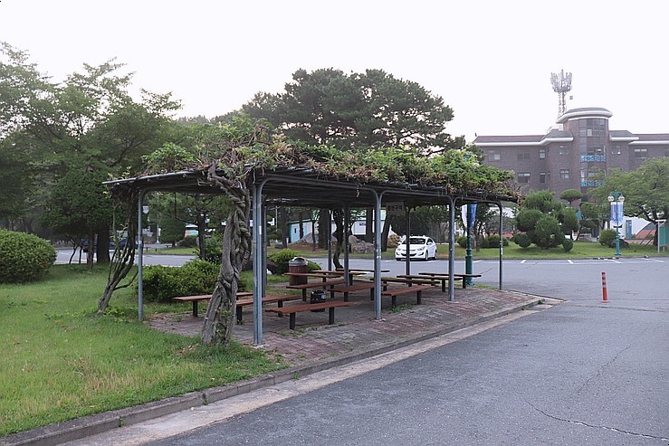 아름다운 배재대학교 캠퍼스 대전 랜선여행-전경이 3