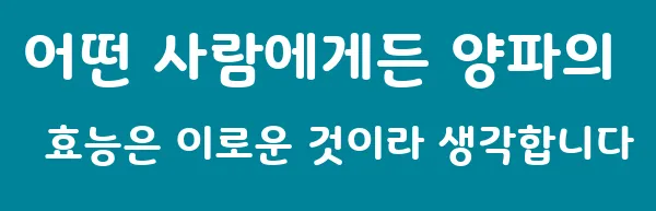 어떤 사람에게든 양파의 효능은 이로운 것이라 생각합니다