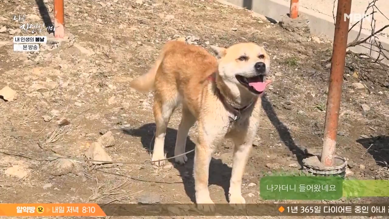 나는 자연인이다.E599.240328p-NEXT.mp4_20240328_195830.119.jpg