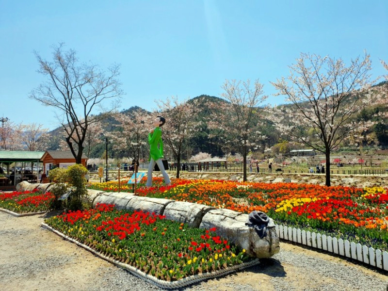영천 가볼만한곳 베스트10 대구여행 가볼만한곳 팔공산 8