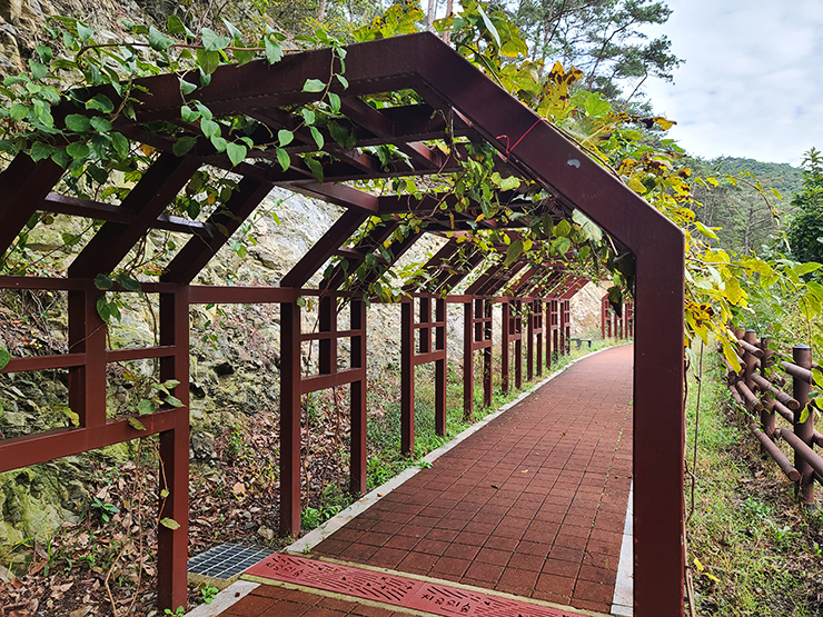 충남 걷기 좋은 숲길 국내여행 걷기 좋은 길, 7