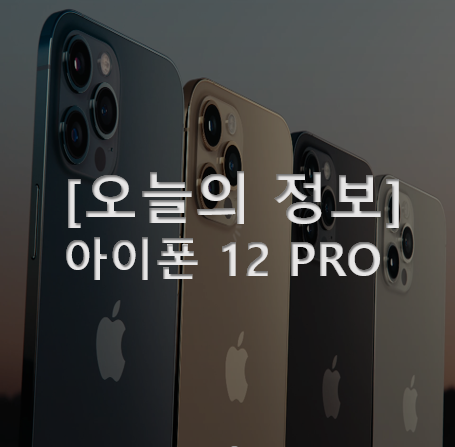  드디어 아이폰8 +에서 아이폰12 pro 그래파이트!!(사이즈,구성품)