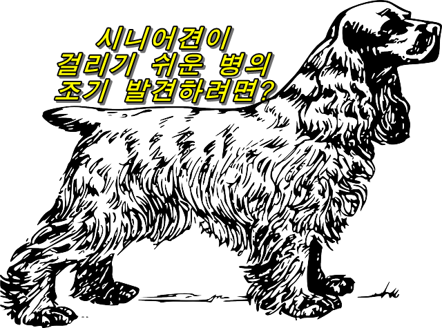  시니어견이 걸리기 쉬운 병의 조기 발견하려면?