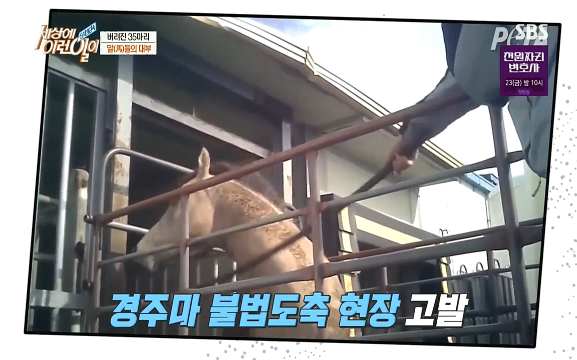 순간포착 세상에 이런일이.E1198.220920.H265p-BULDU.mp4_20220921_200806.659.jpg
