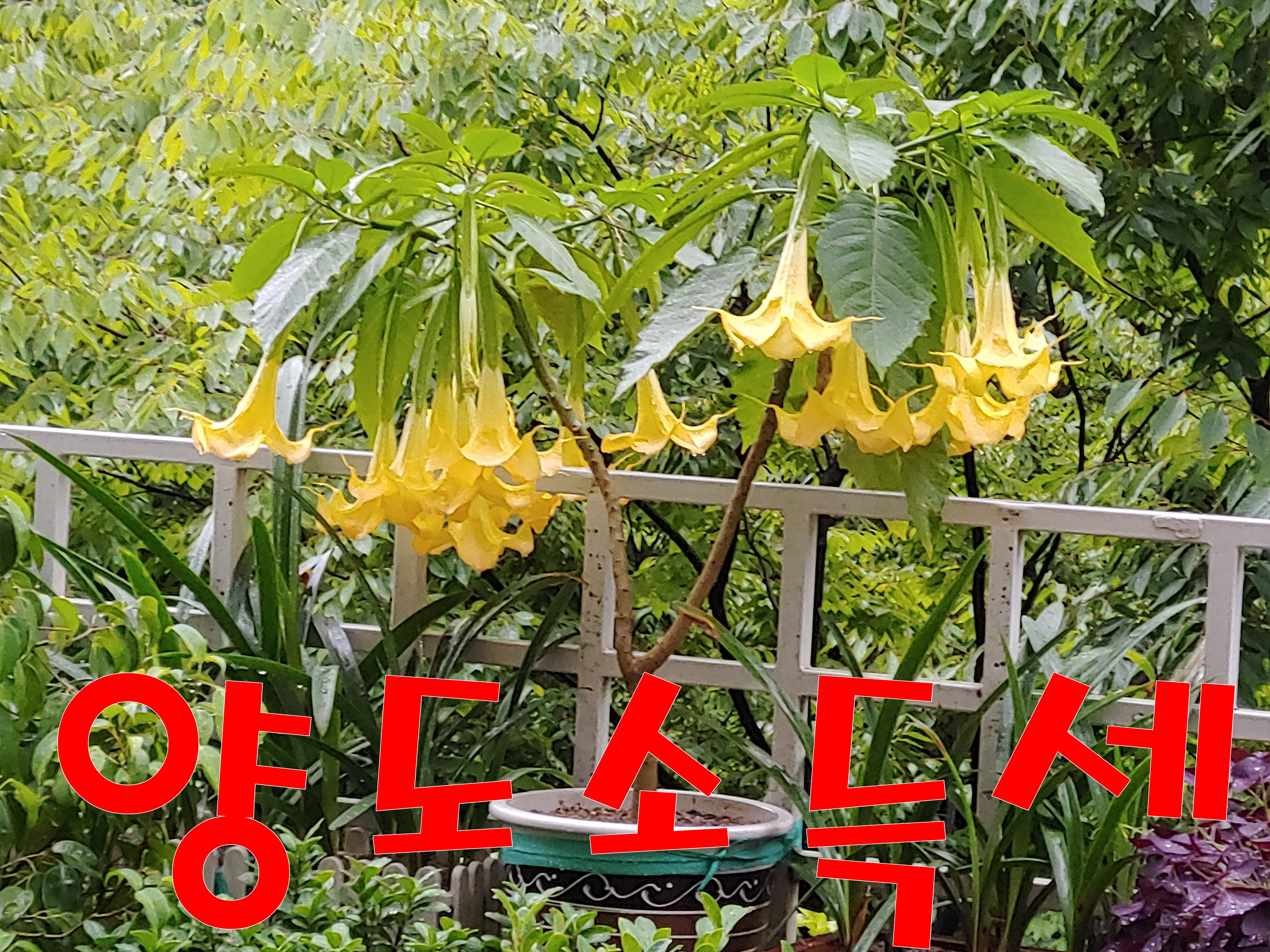  양도세, 양도소득세율 , 장기보유특별공제 (1편)