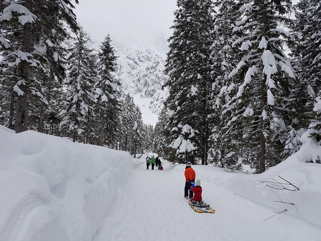 Sledding