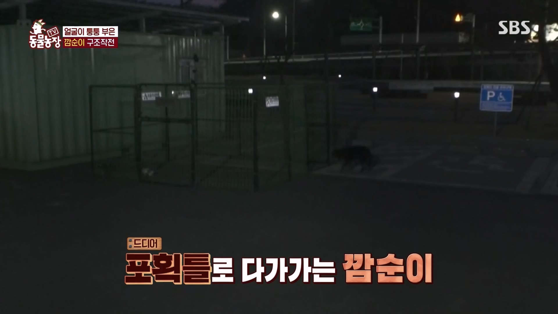 TV 동물농장.E1118.230423p.H264-F1RST.mp4_20230423_181133.883.jpg